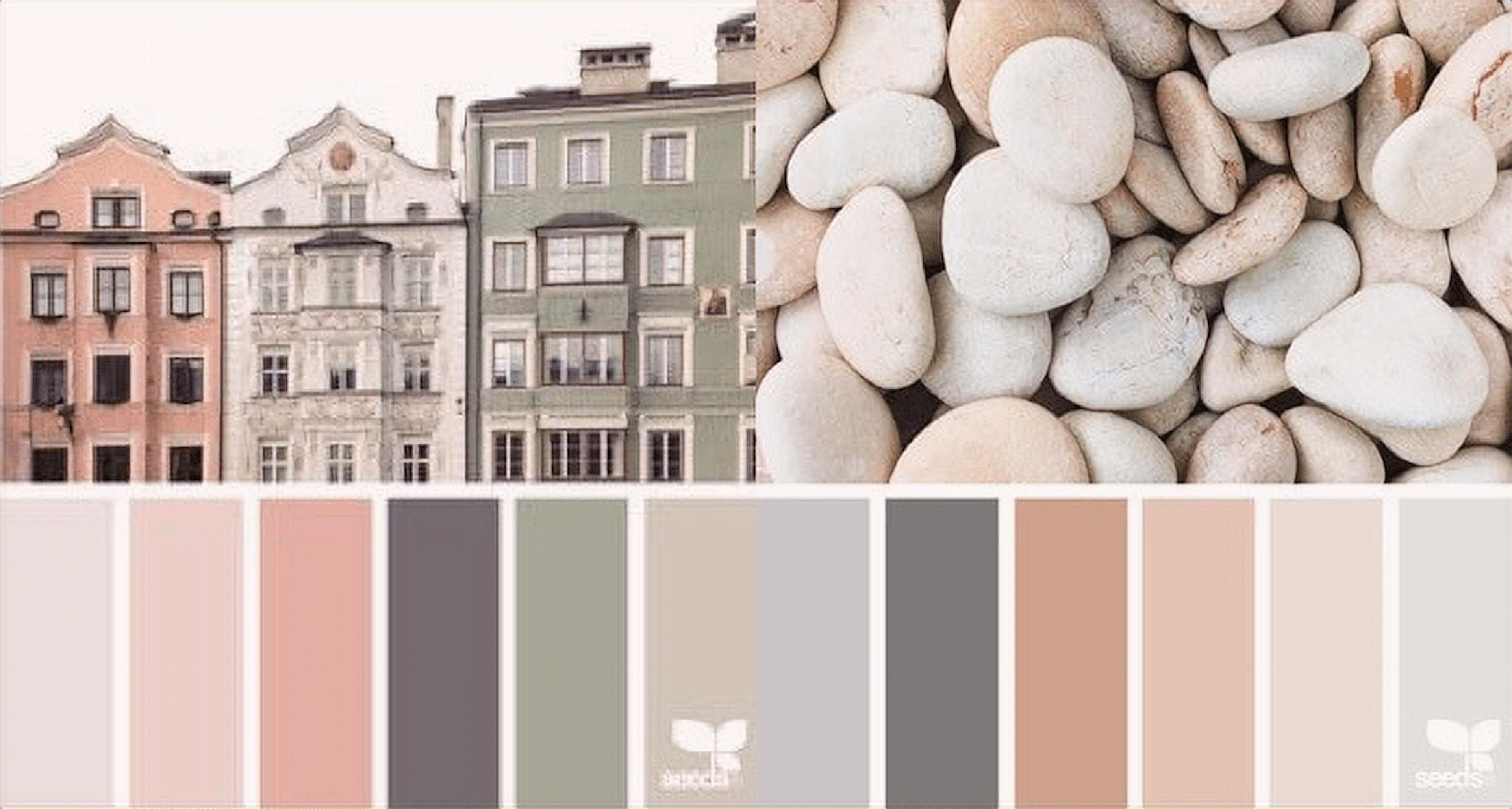 Paleta de colores con tonos de marón y verde