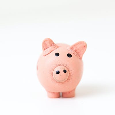 A pink piggy bank staring at you.