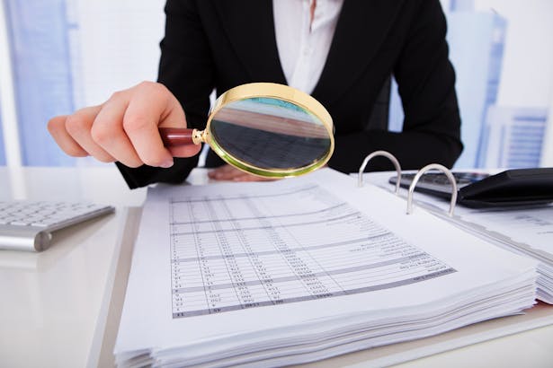 We don't know what an auditor looks like – but we think they carry big magnifying glasses
