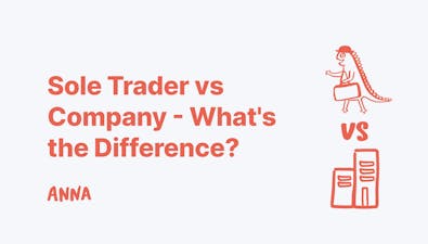 'Sole Trader vs Company - What's the Difference?' article image