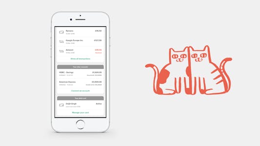 Screenshot of ANNA app with connected bank accounts and two cats