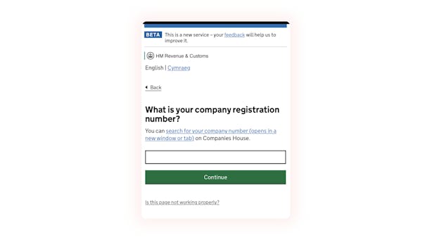 Fill in your company registration number