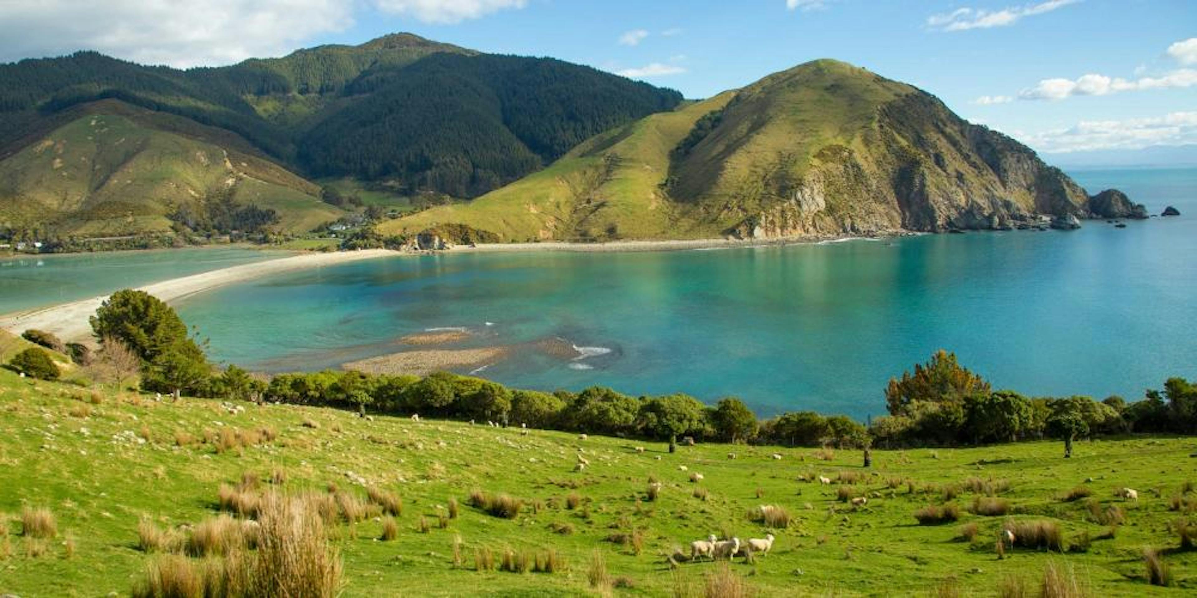 View of Cable Bay
