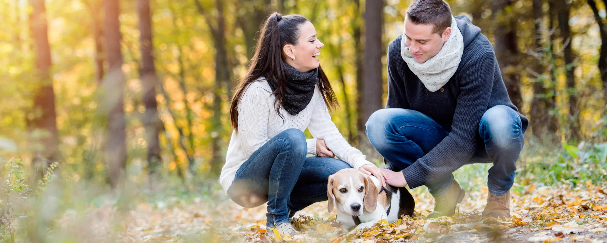 Mutual Power Of Attorney