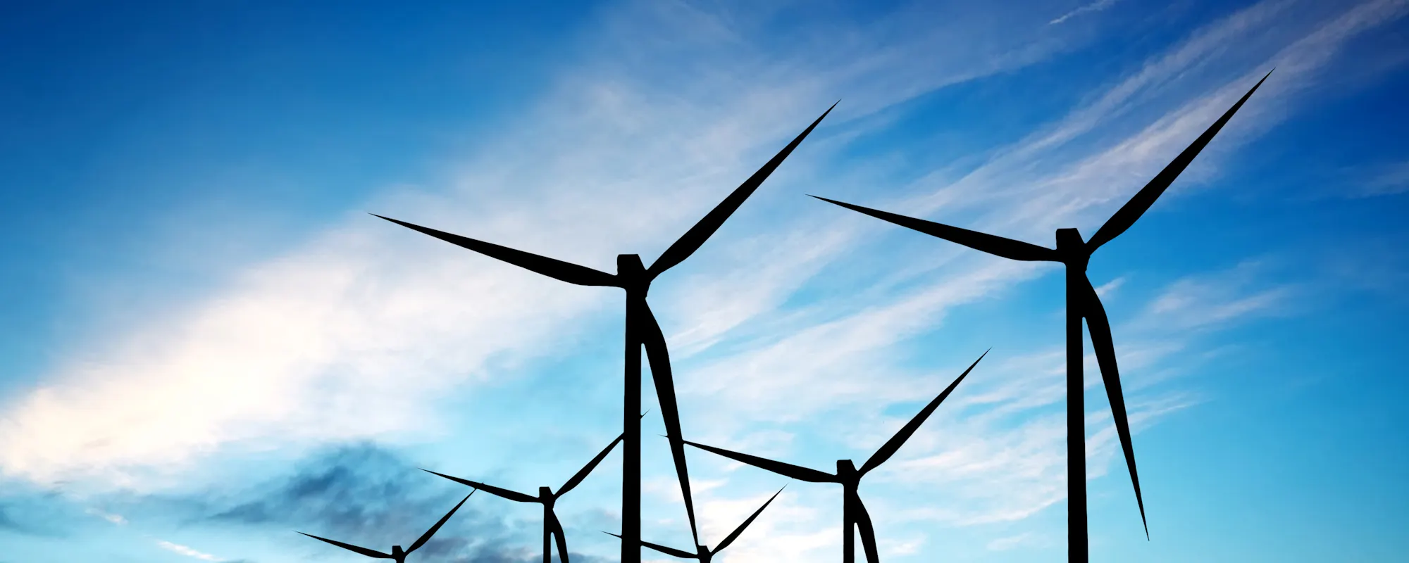 Towards A Sustainable Future