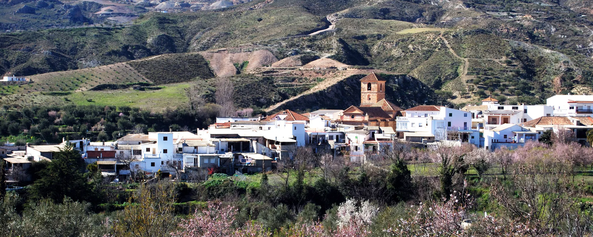 Spain's New Property Register for Holiday Rentals