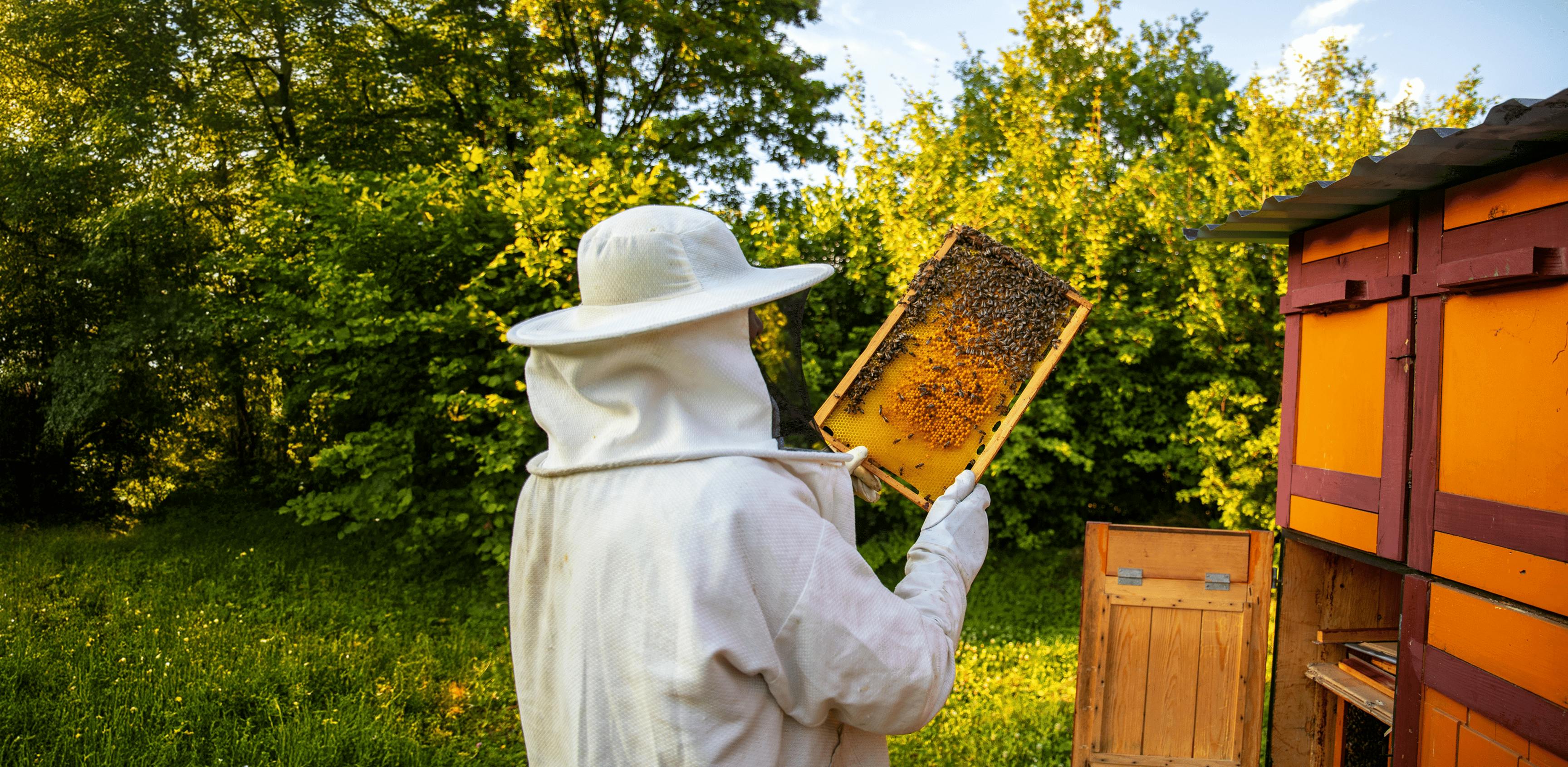 Listed points background