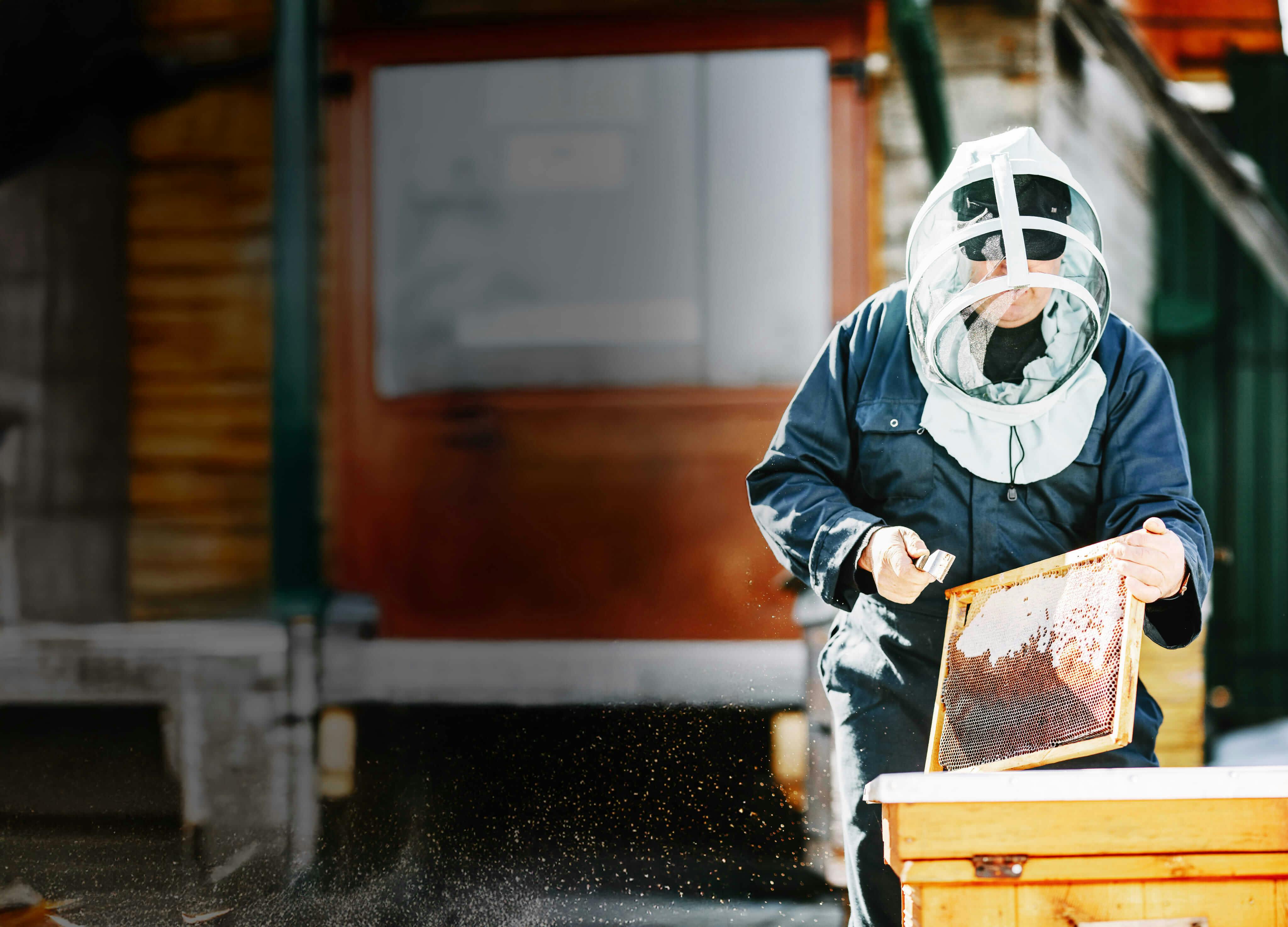 Two column background