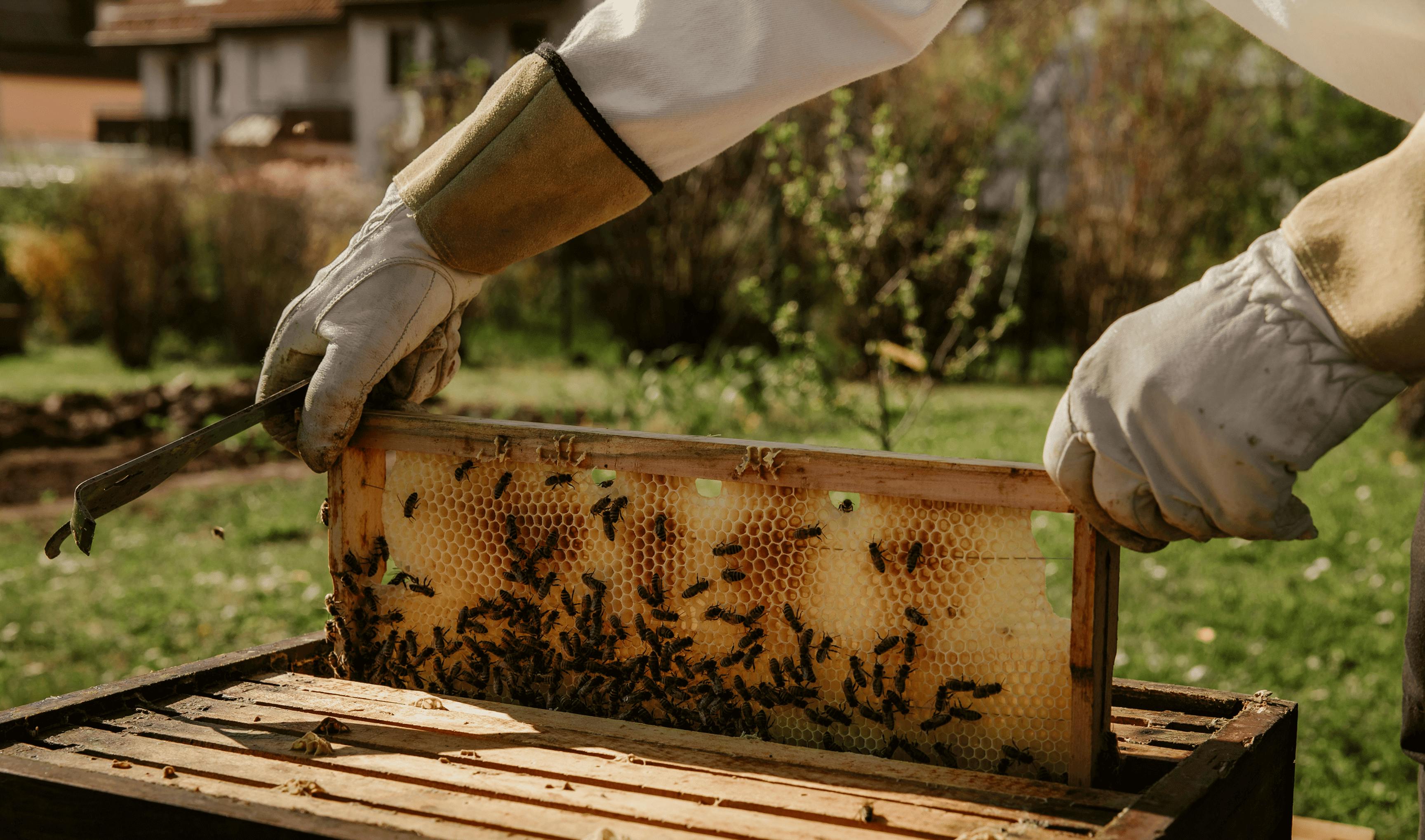 Animated stats background