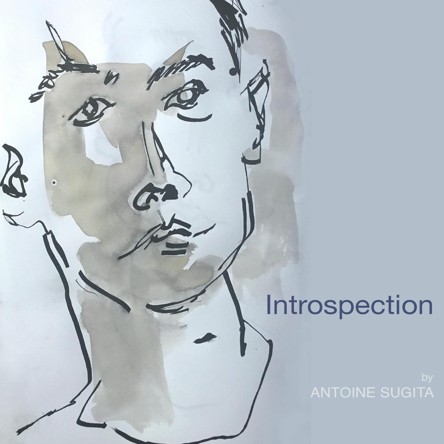 Introspection