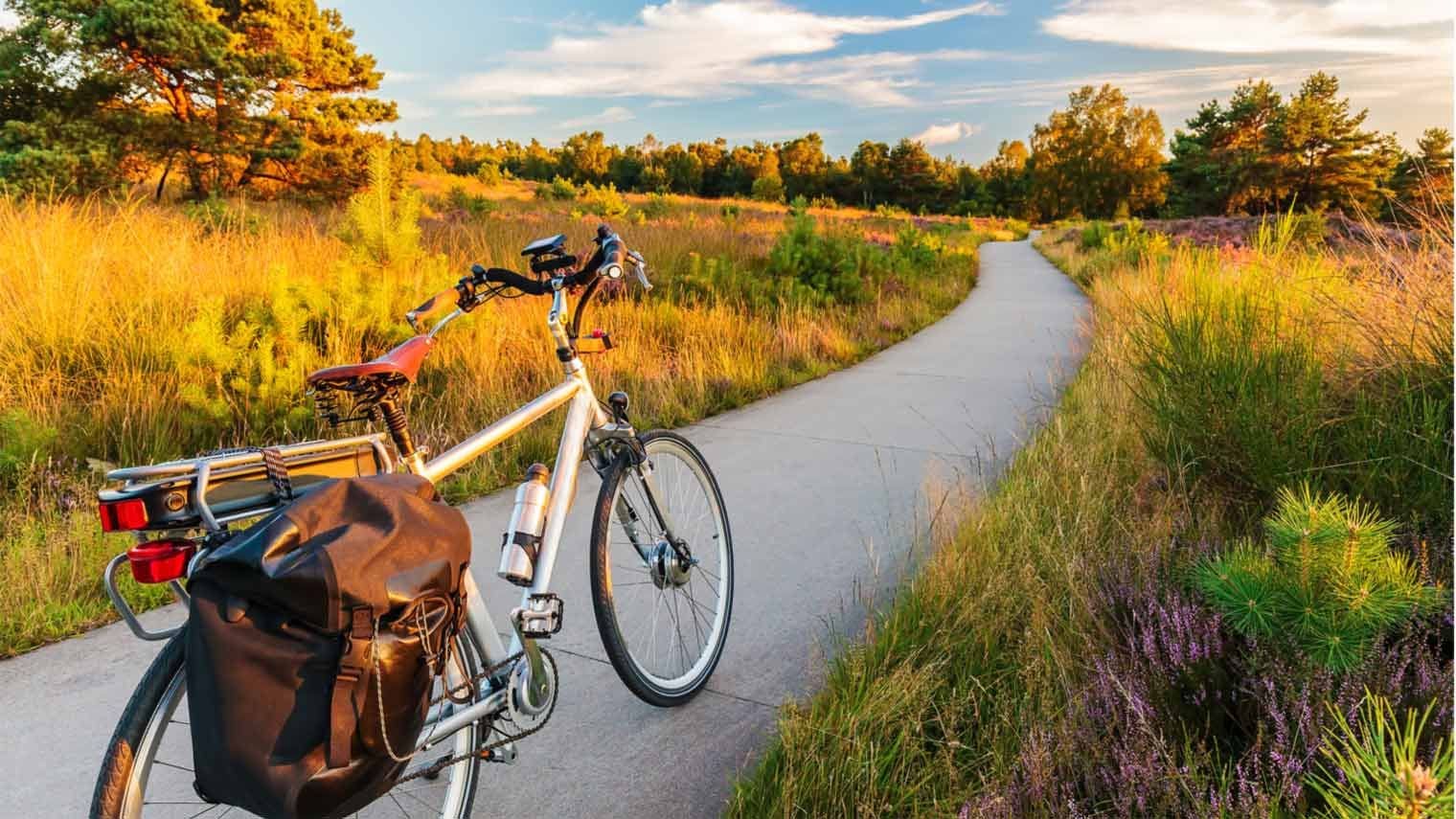 fiets op fietspad in heide