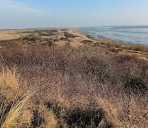 Wandelen op Ameland met Kelsey