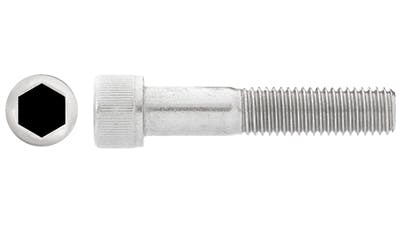 Stainless Steel Hex Socket Capscrew