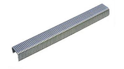 Stainless Steel and Galvanized Staples