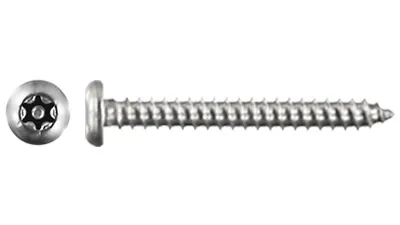 Stainless Button 6 Lobe with Pin Self Tapper