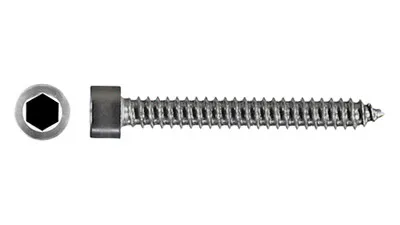Stainless Hex Socket Self Tapping Screw