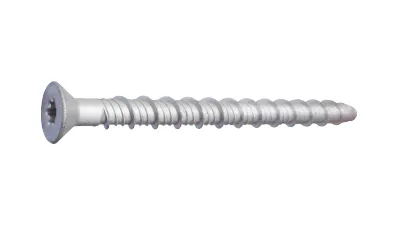 AM CSK Ruspert Concrete Screws