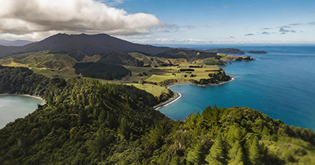 Anzor’s Sustainability Initiatives