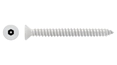 Stainless Steel Csk Socket Security Self Tapping Screw
