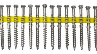 Stainless Collated Quik Drive Hardwood Screws