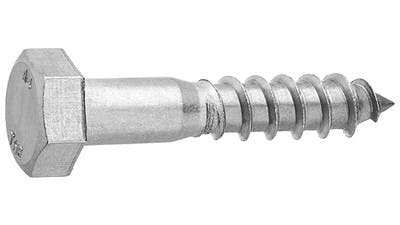 Stainless Hex Coachscrew