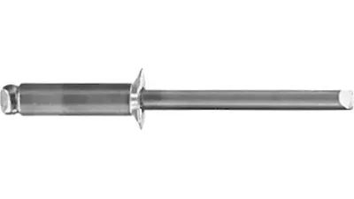 Stainless CSK Rivet