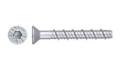 AM CSK Ruspert Concrete Screws