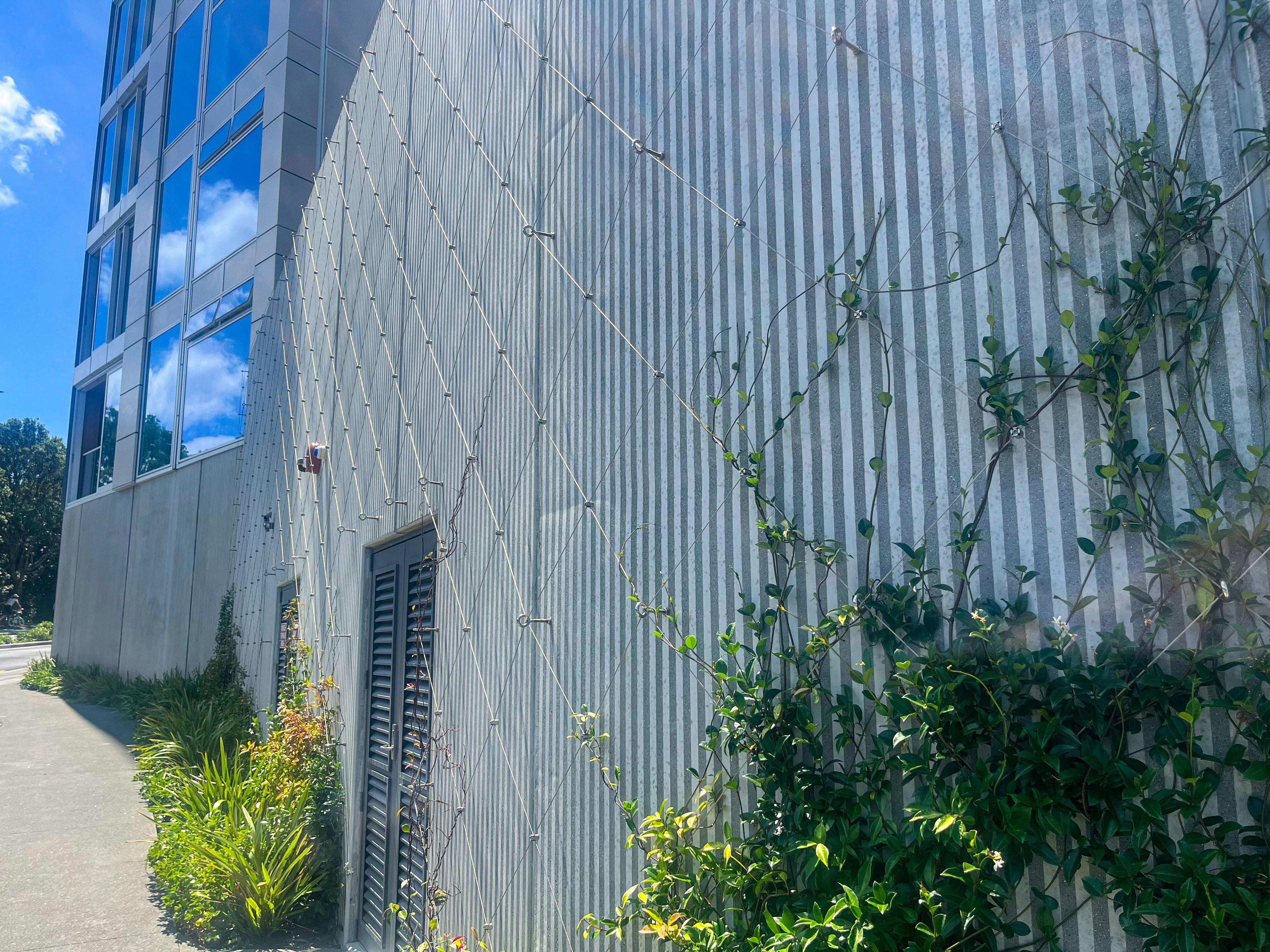 Ab0rgcdwj 7krxxv Img 5193