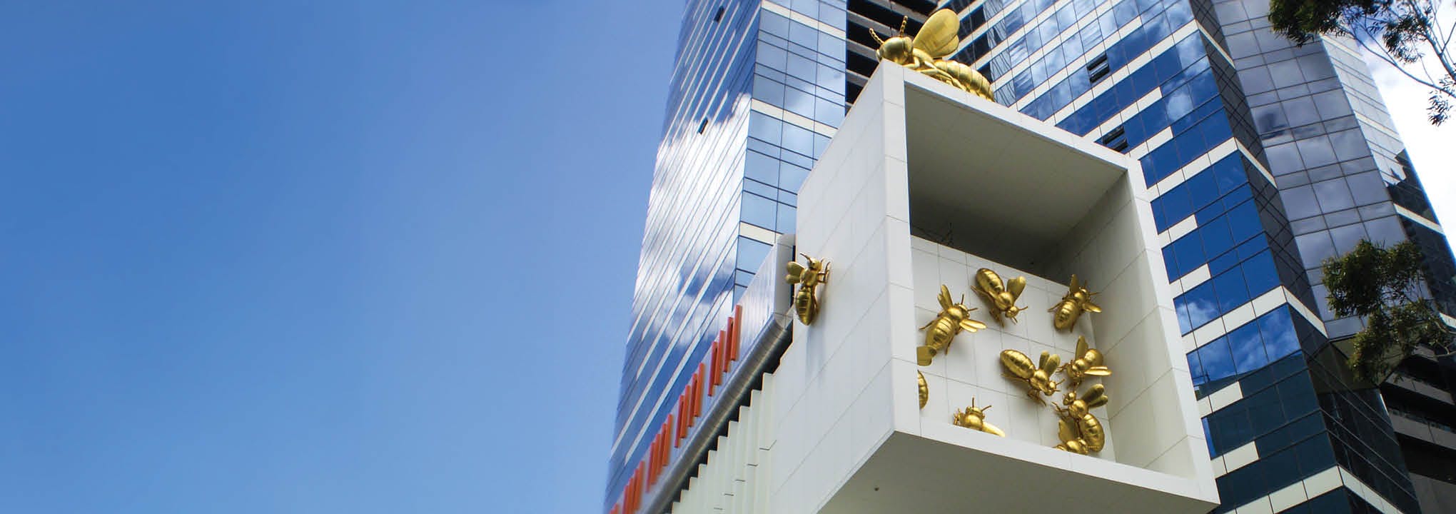 Ar6puggnmrmgqduk Lindaptercomms2025beesimage