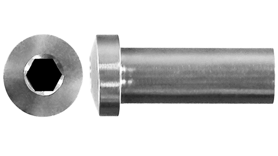 Stainless Pan Socket Barrel Nut