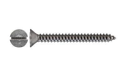Stainless Csk Slot Self Tapping Screw
