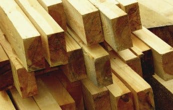 Use Stainless Steel with Treated Timber