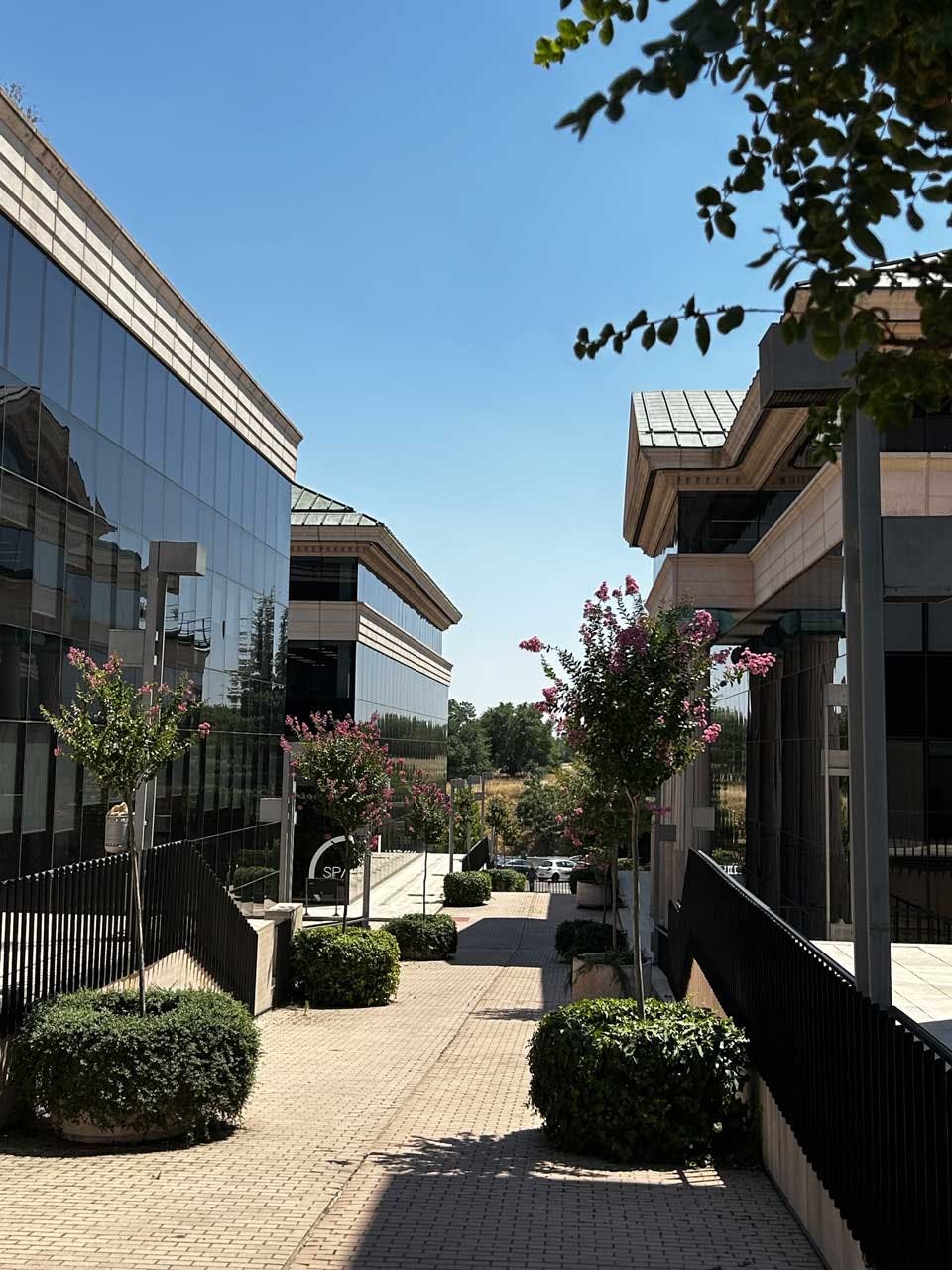 Espacio exterior con edificios de cristal, camino de ladrillos y árboles florecidos