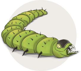 pest 3