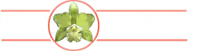 orchids-marketplace