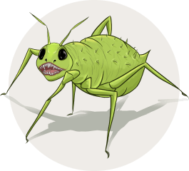 pest 1