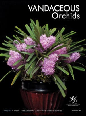 October 2021 Supplement