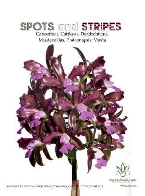 October 2020 Supplement