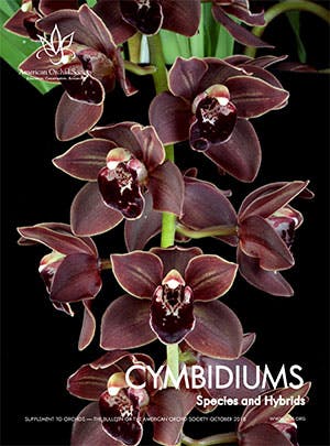 Cymbidiums - Supplement 2018