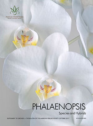 Supplement 10 - 2017