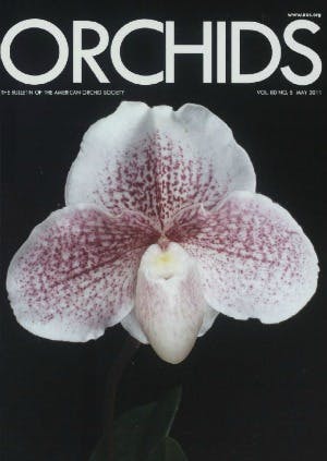 May 2011