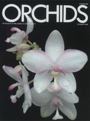 December 2008
