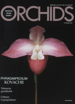 November 2007