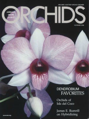 November 2006