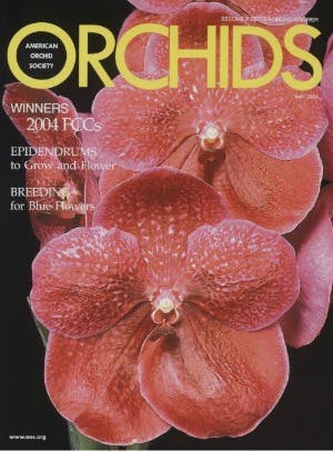 May 2005