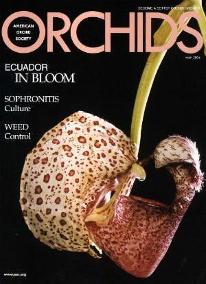 May 2004