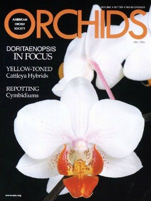 April 2004