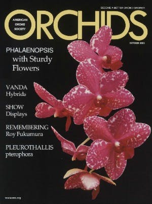 October 2003
