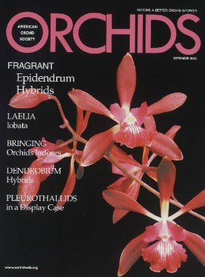 September 2003