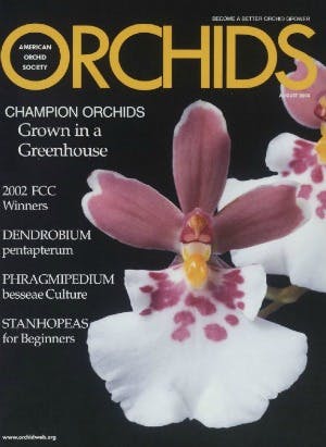August 2003